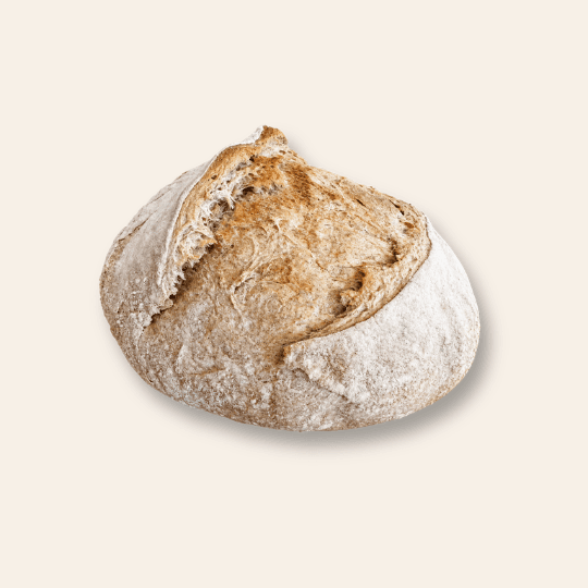Whole Wheat